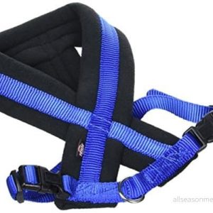 Trixie Premium touring harness S: 35 65 cm/20 mm royal blue 4011905203720