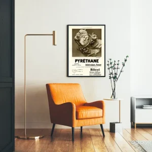 Vintageposter för Pyréthane kraftfullt smärtstillande - Bild 2