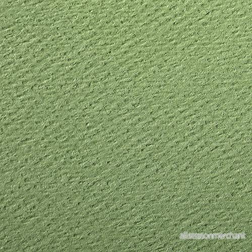 Clairefontaine 93796C förpackning (med 24 ark ritpapper Etival Color, 50 x 65 cm, 160 g, kornig, perfekt för torrteknik och ram) äppelgrön 3329681937960