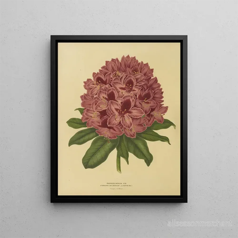 Målning av holländska blommor och Pomone Pl. 13 - Abraham Jacobus Wendel