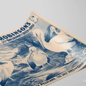 Vintageposter av John Robinsons stora cirkus med vita pelikaner - Bild 2