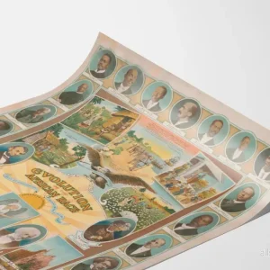Väggdekorationsposter Evolution av den Afrikanska Rasens - Bild 3