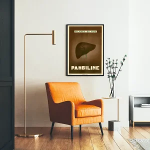 Vintageposter Panbiline Lever- och leveråkommor Väggdekoration - Bild 2