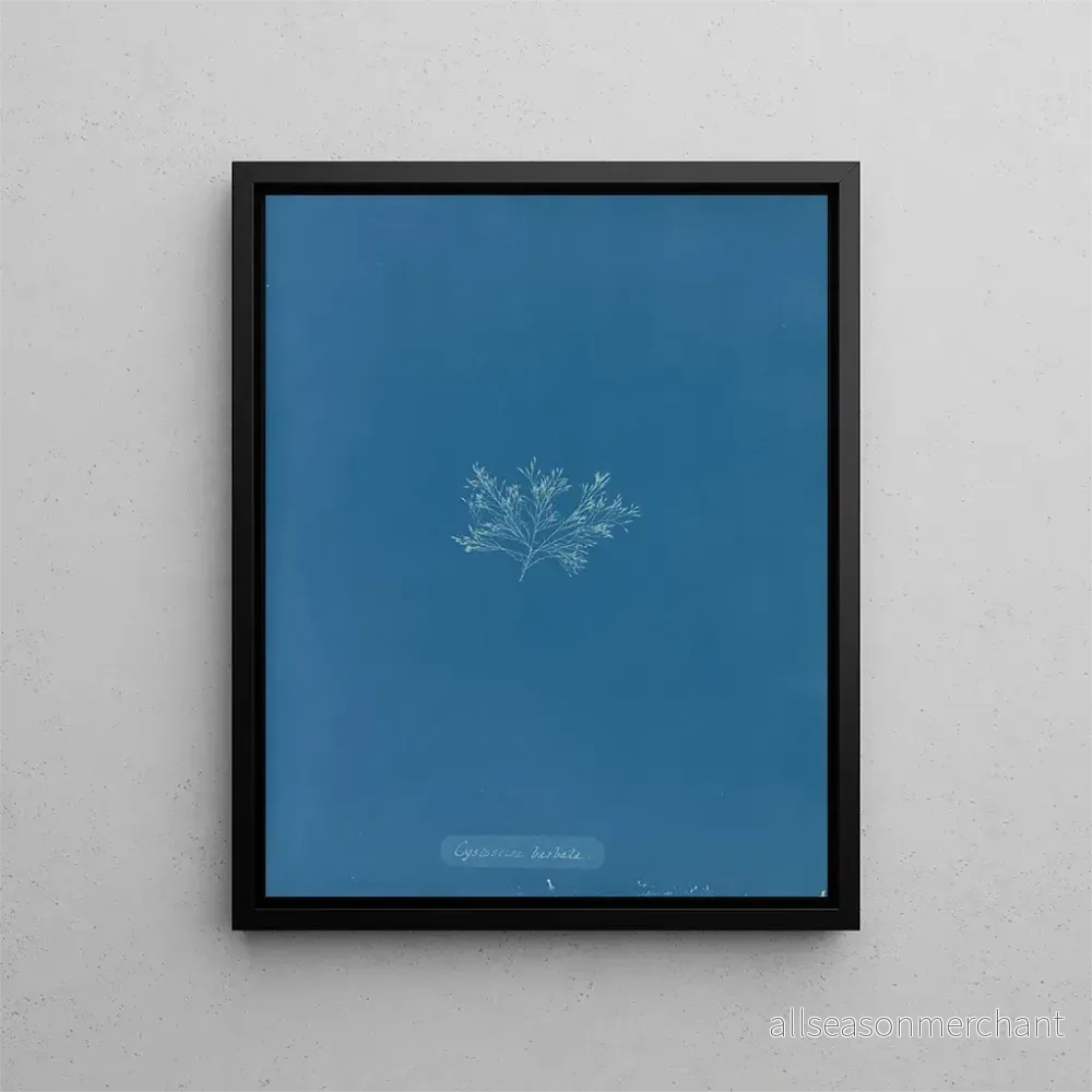 Målning Cystoseira barbata - Anna Atkins | Konsttryck