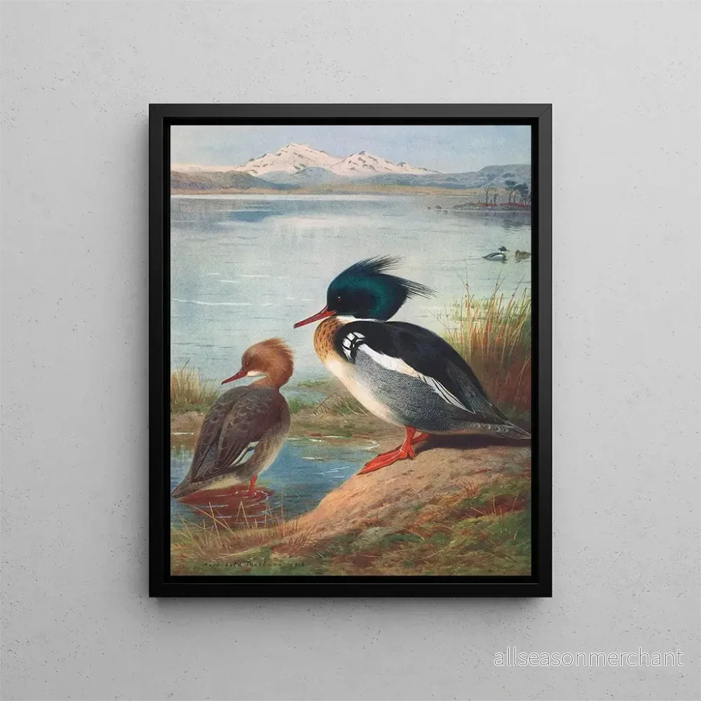 Målning Harle huppé – Archibald Thorburn | Konsttryck