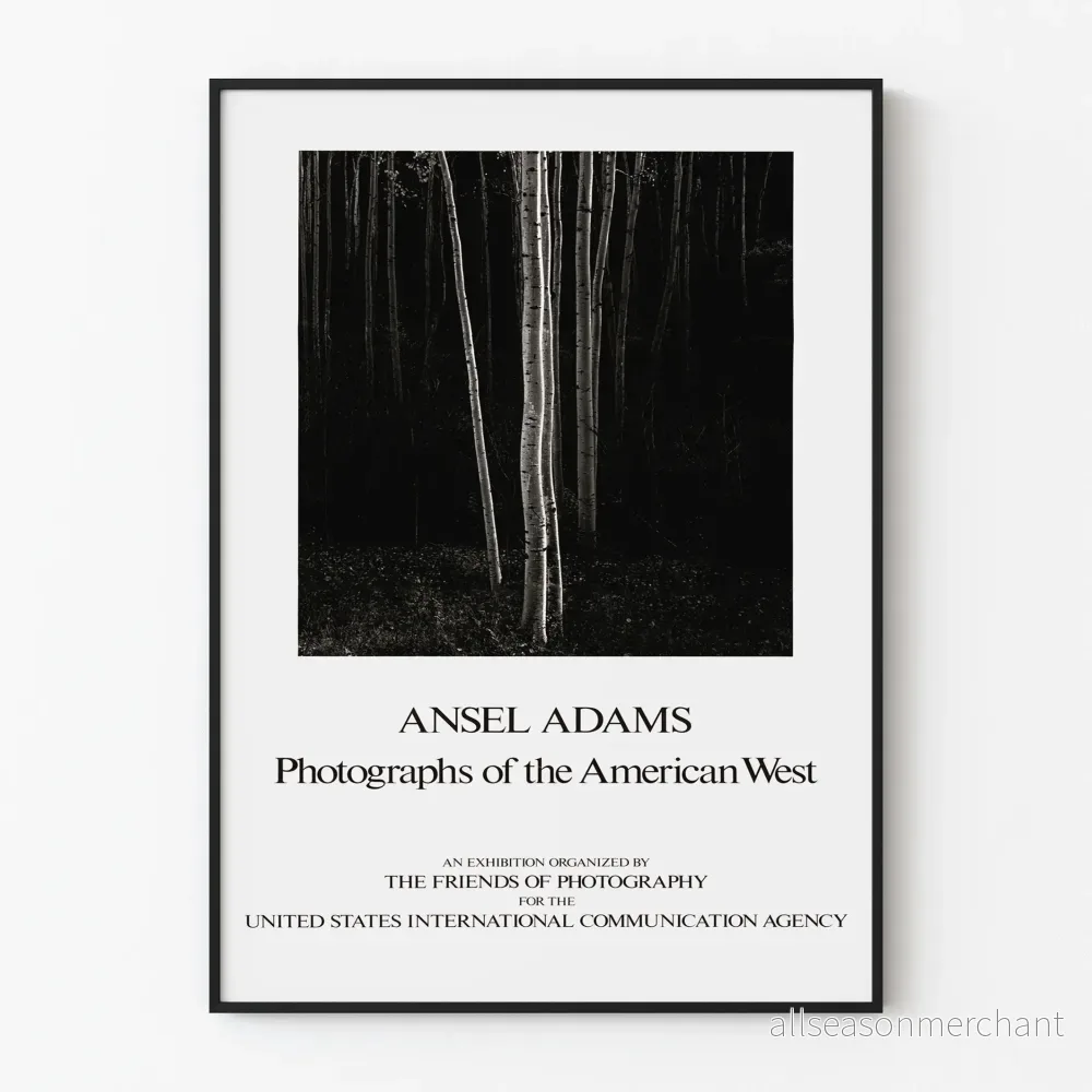 Poster Svartvita fotografier Ansel Adams - Västerländska landskap