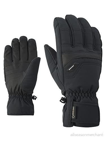 Ziener Glyn GTX Gore Plus Warm Glove Alpine skidhandskar, svart (svart), 8 4059749237266