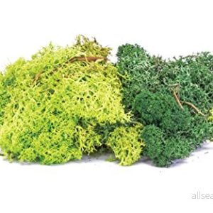 Fläta, grönblandning 5055286659133