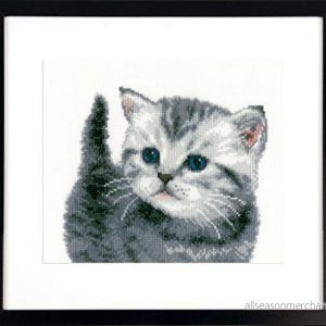 Vervaco PN 0153747 katt räkningsmönster förpackning, bomull, flerfärgad, 21 x 20 cm/8,4 tum 8 5413480779048 Vervaco PN 0153747 katt räkningsmönster förpackning, bomull, flerfärgad, 21 x 20 cm/8,4 tum 8 5413480779048