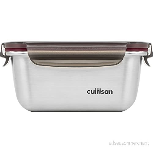 CANDL Cuitisan (Flora) Rektangulär förvaringsbox i rostfritt stål med klämlock, lämplig för mikrovågsugn och ugn EC7 SS04 500 ml 8809375806345