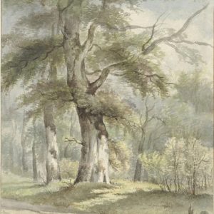 Målning Vy över skogen - Arnoldus Johannes Eymer | Konsttryck - Bild 2