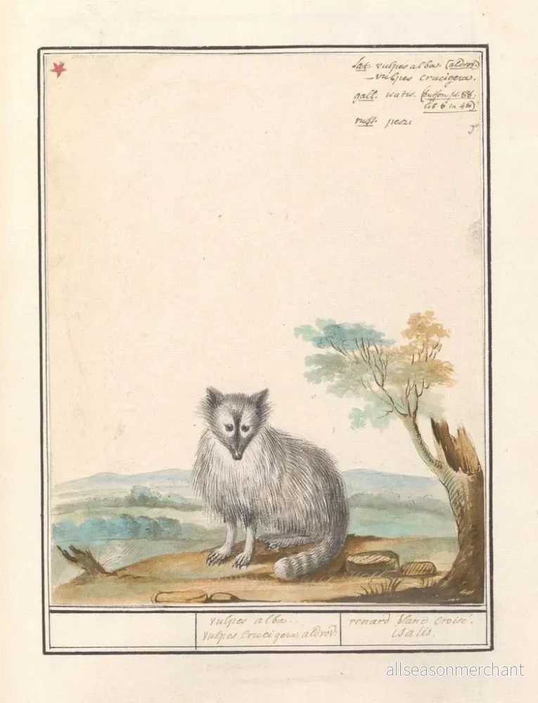 Målning Vos Renards renards renards renards blancs Crucigera aldvov renard fade crois isalis - Anselmus Botius de Boodt - Bild 2