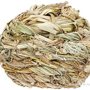 Trixie Grass Ball ø 10 cm 4047974618257 Trixie Grass Ball ø 10 cm 4047974618257