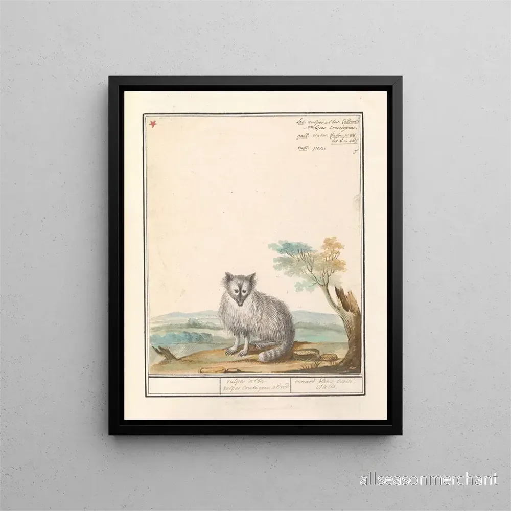 Målning Vos Renards renards renards renards blancs Crucigera aldvov renard fade crois isalis - Anselmus Botius de Boodt