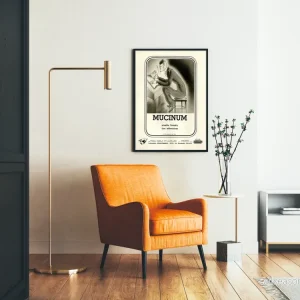 Vintage poster för väggdekoration Mucinum för sittande - Bild 2