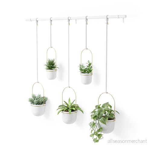 Umbra Triflora Set med 5 hängande krukor, justerbar planteringskruka skenor, vit/mässing 28295374866 Umbra Triflora Set med 5 hängande krukor, justerbar planteringskruka skenor, vit/mässing 28295374866