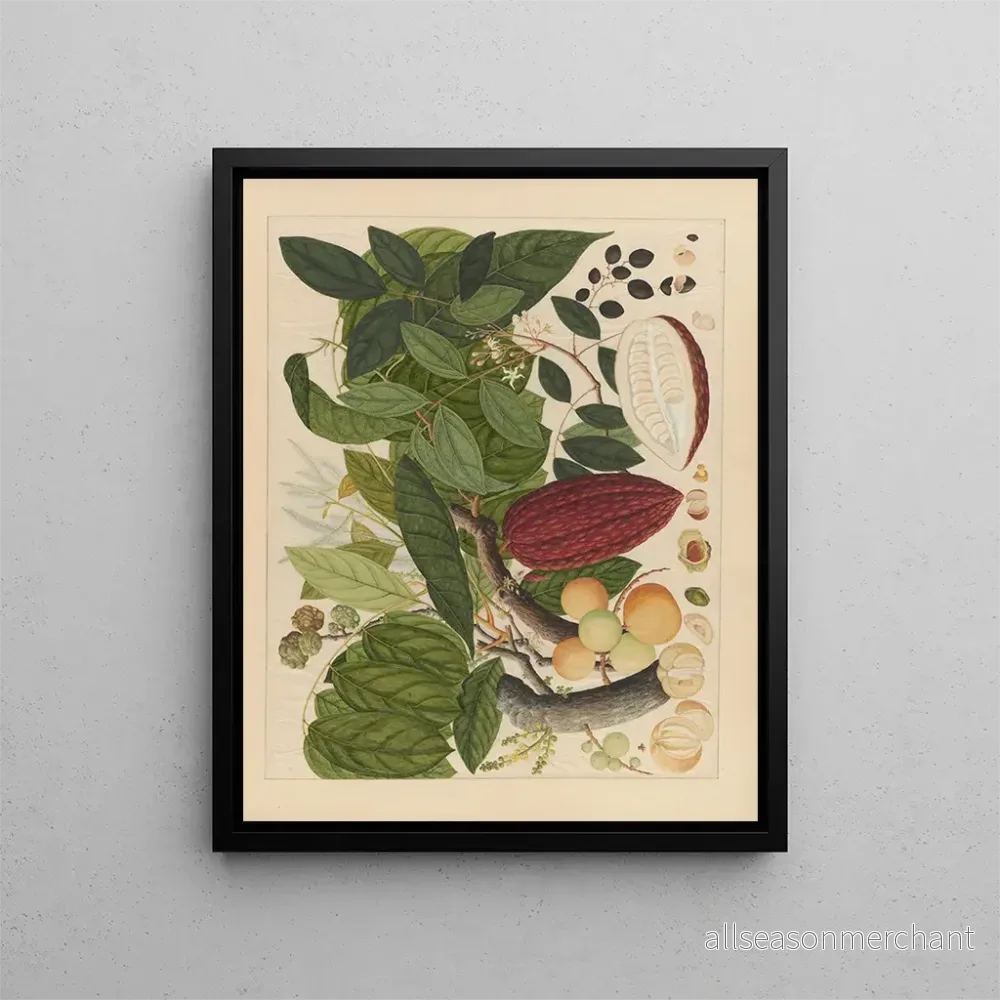 Målning Album d’aquarelles chinoises de fruits asiatiques Pl07 – Anonyme Målning Album d’aquarelles chinoises de fruits asiatiques Pl07 – Anonyme