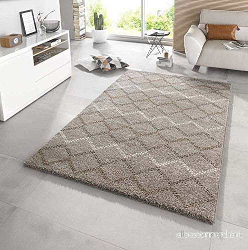 Mint Rugs hög flor matta nouveau, mjuk och fluffig, geometrisk design (120 x 170 cm, 2 cm blomhöjd, 100% polypropylen, robust lämplig för golvvärme), smält, konstfiber, taup/brun 4260425289480