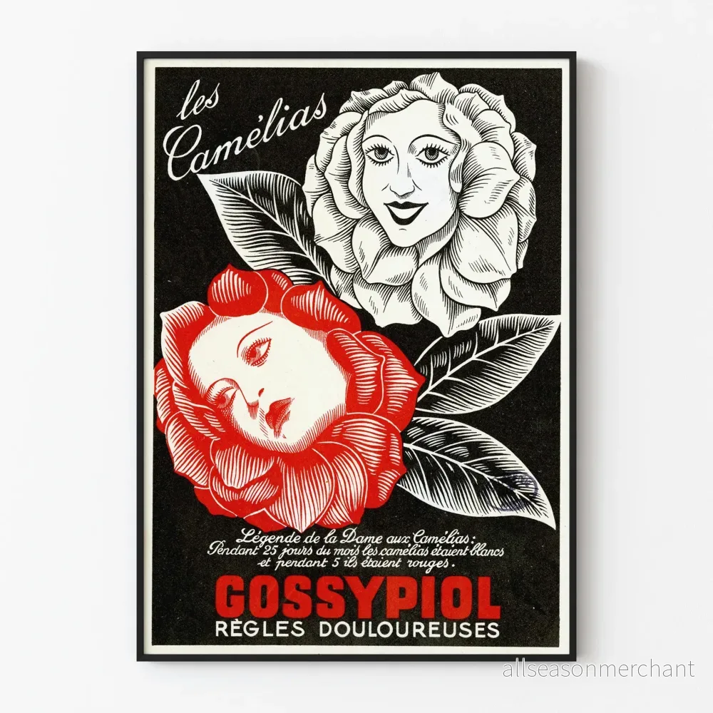 Vintageposter Gossypiol - Väggdekoration Les Camélias