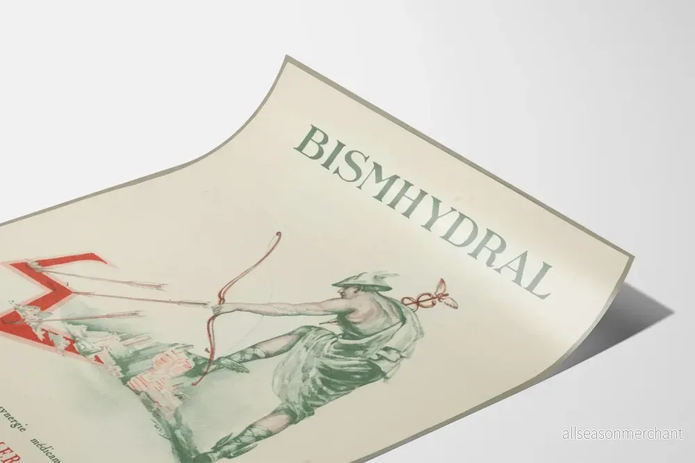 Vintageposter Bismhydral - Gammal terapeutisk väggdekoration - Bild 3